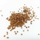 Plastia Microgreens startovací sada  - thumb (2)