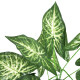 Umělá květina Syngonium v květináči - thumb (1)