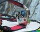 Alexander Shorokhoff Kandy Crazy Hands Special AS.KD01-CRH - thumb (8)