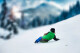 Skidrifter Gizmo Riders  Mystic Green - thumb (17)
