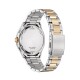 Citizen Eco-Drive Classic AW1756-89A - thumb (1)