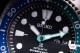 Seiko Prospex SRPJ35K1 Tropical Lagoon Special Edition - thumb (6)