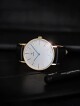 Junkers Dessau Herren 917.03.03 - thumb (1)