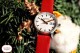Mondaine Evo2 MSE.30210.LCV - thumb (10)