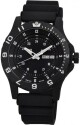 Traser P 6600 Type 6 MIL-G Sapphire Tritium pryž - thumb (0)
