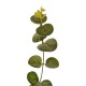 Umělý stonek Eukalyptu zelená, 67 cm - thumb (1)