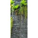 Vertikální fototapeta Green in the wall, 90 x 202 cm - thumb (0)