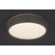 Rabalux 75010 stropní LED svítidlo Larcia, 18 W, stříbrná - thumb (2)