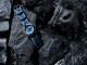 Alpina Seastrong Diver Gyre Ladies Limited Edition AL-525LNSB3VG6 - thumb (4)