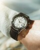 Alpina Seastrong Diver 300 Heritage Automatic AL-525S4H6 - thumb (20)