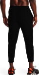 Under Armour UNDRTD WOVEN CROP pant - thumb (1)
