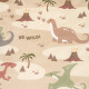 4Home Bavlněné povlečení Dino world, 140 x 200 cm, 70 x 90 cm - thumb (5)