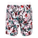 Pánské šortky Fila  Shorts Leo Graffitti Gringe L - thumb (1)