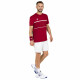 Pánské tričko Tecnifibre  Club Tech Tee Cardinal L - thumb (1)