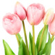 Umělý svazek Tulipánů růžová, 39 cm - thumb (2)