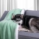 ArtFlhf Deka SHLEEPY | peppermint 130 x 180 cm - thumb (6)