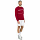 Pánská mikina Tecnifibre  Club Sweater Cardinal XL - thumb (1)