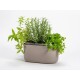 Plastia Samozavlažovací truhlík Tolita hnědá, 31 x 16 cm - thumb (4)