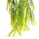 Umělý převislý Asparagus, 75 cm - thumb (1)