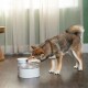 PetSafe® Outlast™ Fontánka 1,7 litru - thumb (5)