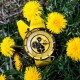 Vostok Europe Lunochod-2 Multifuncional Line YM86-620C504B - thumb (1)