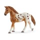 Schleich 42433 Appalosští koně a tréninkové příslušenství, 7 ks - thumb (1)