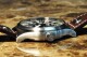 Ball Engineer Master II Aviator NM1080C-L13-BK - thumb (5)