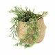 Compactor Pletený úložný košík z mořské trávy Belly, 35 x 32 cm, přírodní, M - thumb (1)