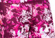 Dámské legíny Endurance  Q Luca Printed Long Tights Pink 50 - thumb (1)