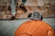 Certina DS Podium Chronograph Automatic C034.427.16.087.01 - thumb (13)