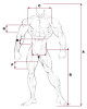 Pánské tepláky Nebbia  Beast Mode On iconic sweatpants 186 grey L - thumb (1)