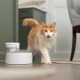 PetSafe® Outlast™ Fontánka 1,7 litru - thumb (6)