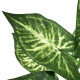 Umělá květina Syngonium v květináči - thumb (2)
