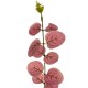 Umělý stonek Eukalyptu fialová, 67 cm - thumb (1)