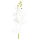 Umělá Orchidej čistě bílá, 86 cm - thumb (0)