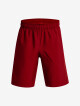 Under Armour Šortky UA Woven Graphic Shorts RED 1370178 - thumb (0)