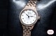 Seiko Quartz SUR396P1 - thumb (5)