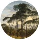 Kruhová fototapeta Old Trees 125 x 125 cm, 2 díly - thumb (0)