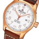 Alpina Startimer Pilot Automatic AL-525S4S4 - thumb (14)
