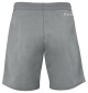 Pánské šortky Tecnifibre  Club Short Silver XL - thumb (1)