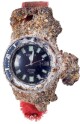 Citizen Fujitsubo Promaster Marine Automatic Diver's Super Titanium NB6021-17E - thumb (12)