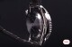 Citizen Promaster Automatic Diver NY0084-89EE - thumb (8)
