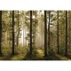 Fototapeta XXL Forest 360 x 254 cm, 4 díly - thumb (0)