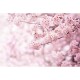 Vliesová fototapeta XXL Sakura 360 x 254 cm, 4 díly - thumb (0)