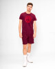 Pánské tričko BIDI BADU  Protected Leafs Chill Tee Bordeaux M - thumb (1)