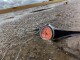 Traser P67 Diver Orange pryž - thumb (12)
