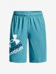 Under Armour UA Prototype 2.0 Logo Shorts BLU 1361817 - thumb (0)