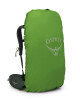 Osprey Kestrel 38l bonsai green - thumb (4)