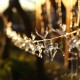 DecoKing Vánoční světelný řetěz Sobi teplá bílá, 10 LED - thumb (2)