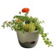 Samozavlažovací květináč Mareta 25 antracit, závěs, závěsný, Plastia, pr. 25 cm - thumb (1)